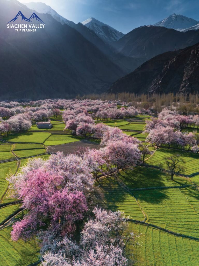 
Apricot Blossom Festival Gilgit-Baltistan 2026 dates

Apricot Blossom  season at Baltistan

Apricot Blossom Festival Baltistan 2026 venue

Apricot Blossom season in Baltistan

Apricot Blossom Festival Baltistan 2025

